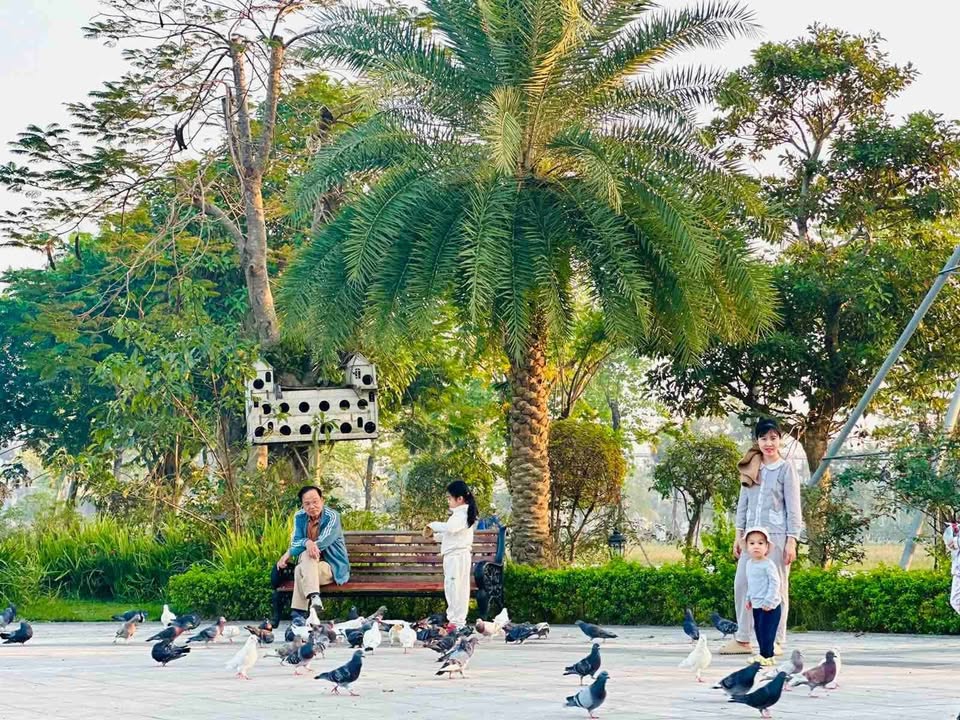 Lô đất Danko Avenue Sông Công 96m² giá chỉ 1.65 tỷ - Pháp lý rõ ràng, tiện ích đầy đủ!