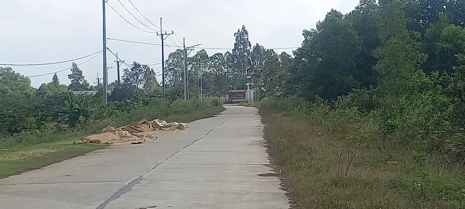 Lô đất hẻm Mai Hắc Đế, Cư Jút 676m² giá 620 triệu - Cơ hội đầu tư tuyệt vời!