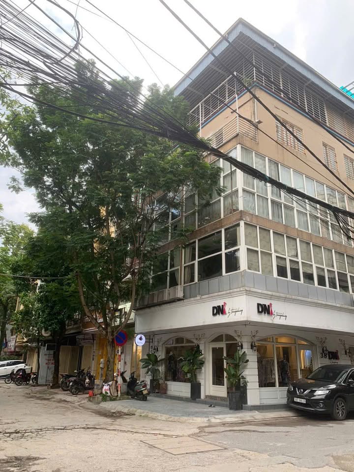 Cho thuê nhà riêng 7 tầng ngõ 19 Trần Quang Diệu, Đống Đa 55m² - Thang máy, tiện nghi kinh doanh