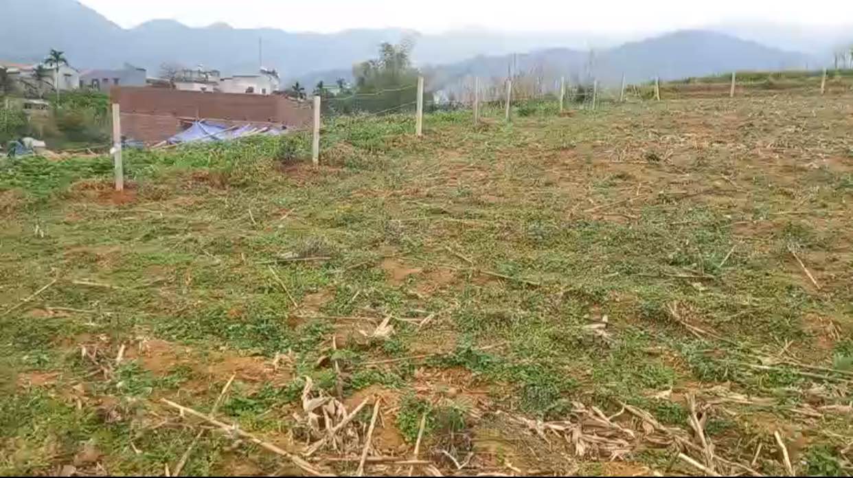 Đất vườn 1579m² tại Hợp Phong, Cao Phong - Giá chỉ 500 triệu - Đầu tư sinh lời!