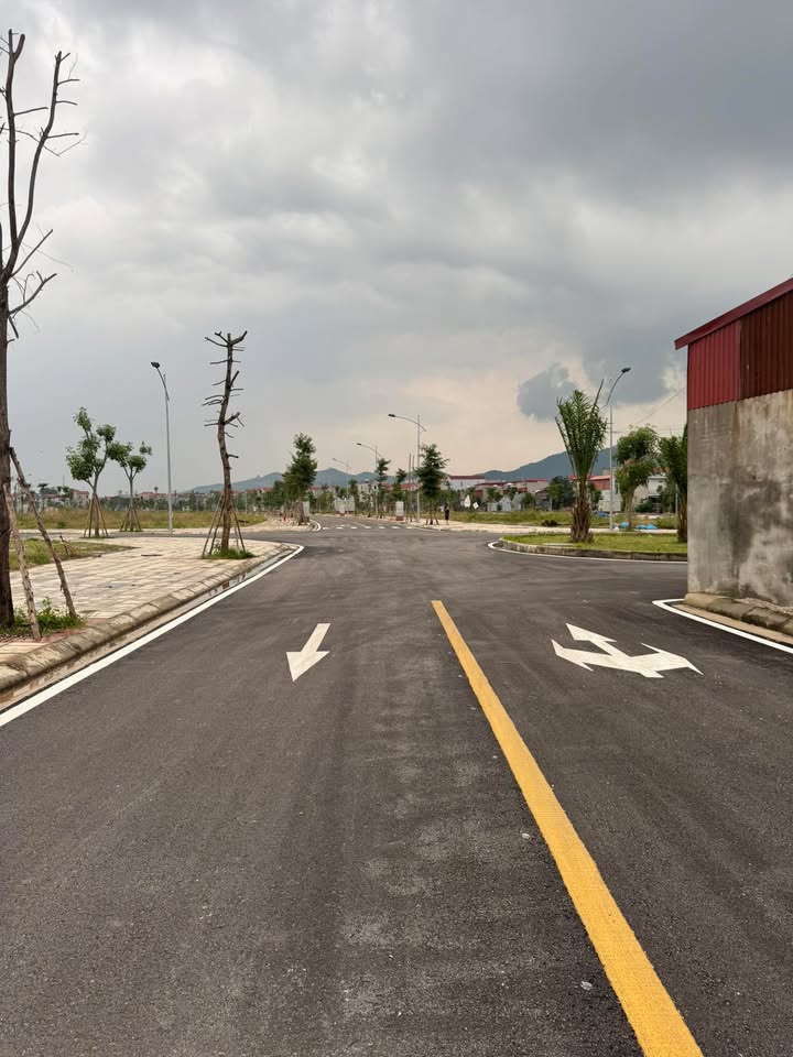 Đất nền Khu đô thị Tân Mỹ, Đồng Sơn 137.51m² giá 4.1 tỷ - Cơ hội đầu tư tuyệt vời!