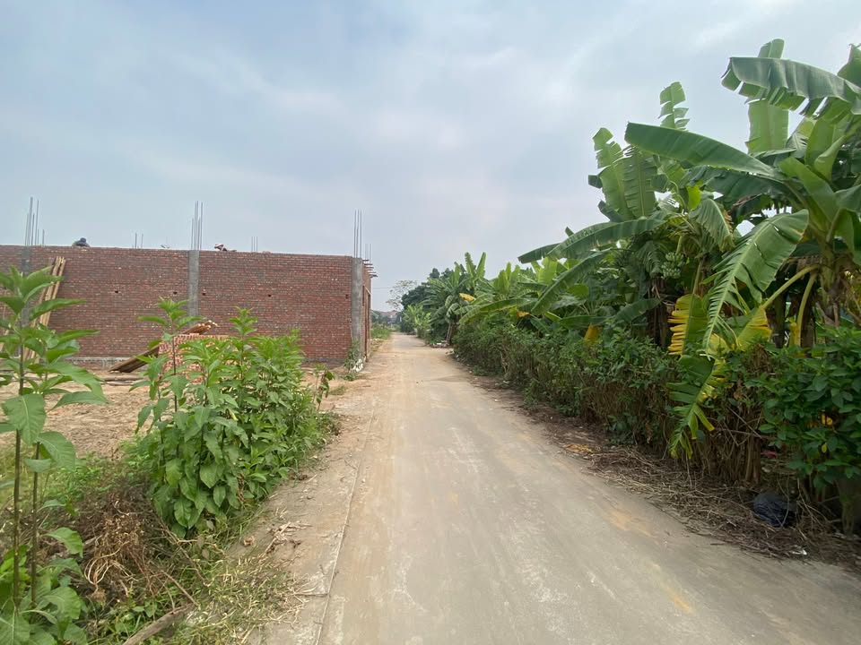 Đất nền Trưng Vương Việt Trì 96m² giá 3.3 tỷ - Đường thông thoáng, vị trí đắc địa!