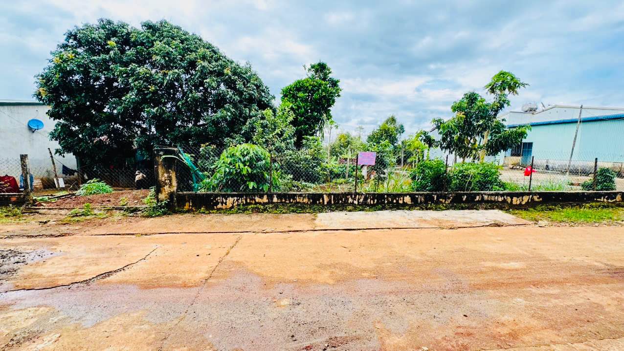 Đất nền thổ cư Đặng Trần Côn, P. Hội Phú, Gia Lai 200m² chỉ 900 triệu - Đầu tư sinh lời ngay!