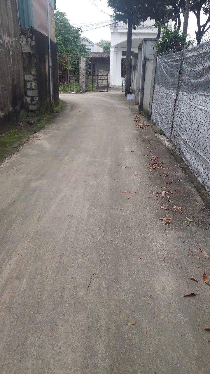 Lô đất thổ cư 130m² tại Thôn 3, Quang Trung, Bỉm Sơn chỉ 600 triệu - Cơ hội đầu tư hấp dẫn!