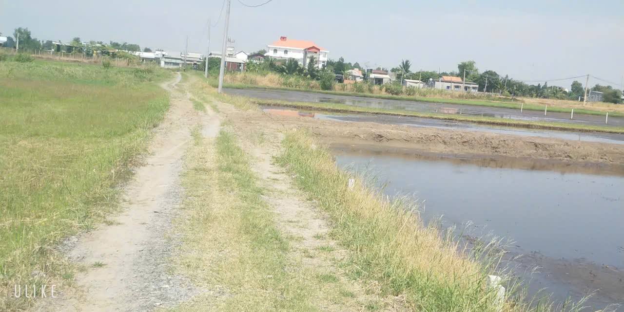 Đất nền Hòa Khánh Nam 150m² giá 590 triệu - Đường xe hơi, dân cư đông đúc!