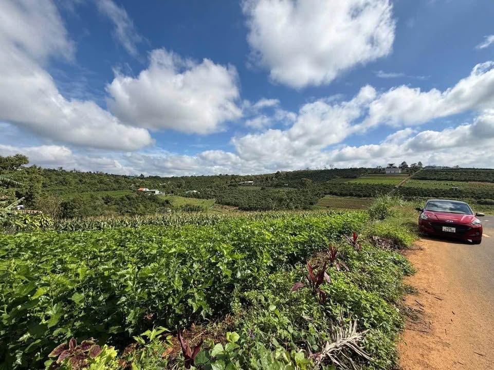 Đất nền 2473m² tại hẻm 02 Tản Đà, Bảo Lộc - 5 tỷ, đầu tư sinh lời!