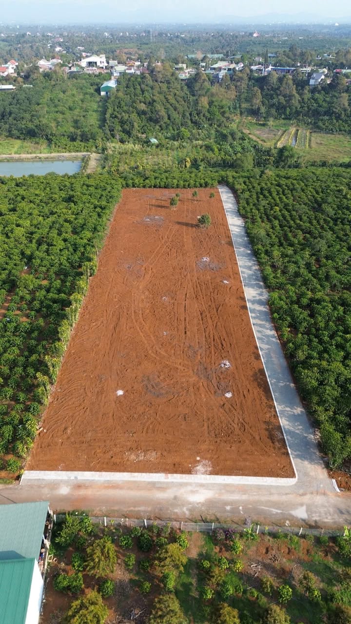 Đất Lộc An Bảo Lâm 200m² giá 1.9 tỷ - Vị trí đắc địa gần chợ và ủy ban!