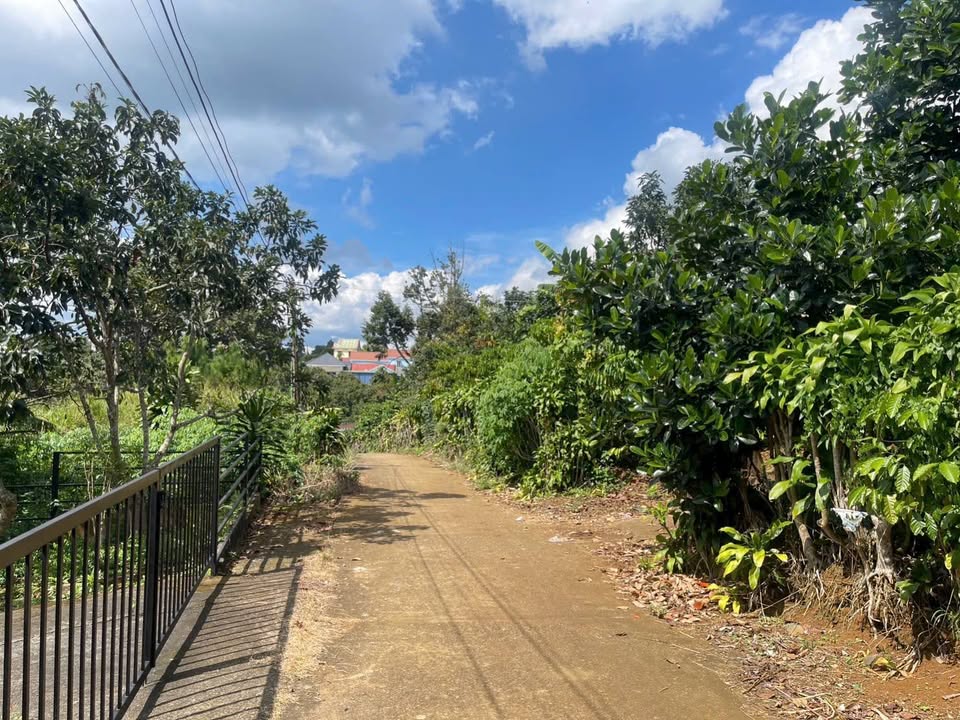 Đất hẻm Tứ Quý, Lộc An, Bảo Lâm, Lâm Đồng - 722.9m² giá 1.79 tỷ - Tiềm năng đầu tư hấp dẫn!