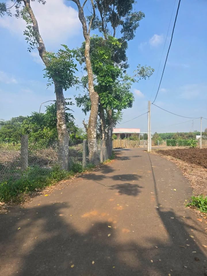 Đất thổ cư 300m² mặt tiền đẹp xã Xuân Sơn, Bình Chánh - Giá chỉ 21 tỷ!