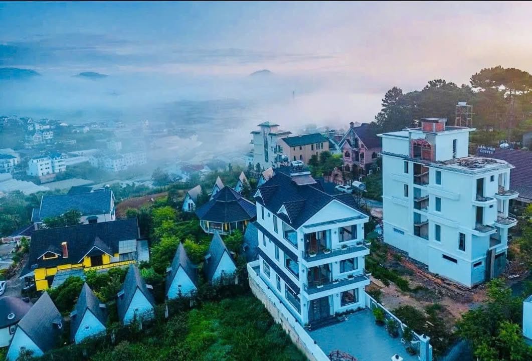Bán đất đường Lý Nam Đế, Đà Lạt 251m² giá 11.5 tỷ - Đầu tư sinh lời hấp dẫn!