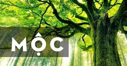 Tòa trọ 4 tầng đường Ca Văn Thỉnh, quận Hải Châu, 90m² giá 7,3 tỷ - Đầu tư sinh lời ổn định!