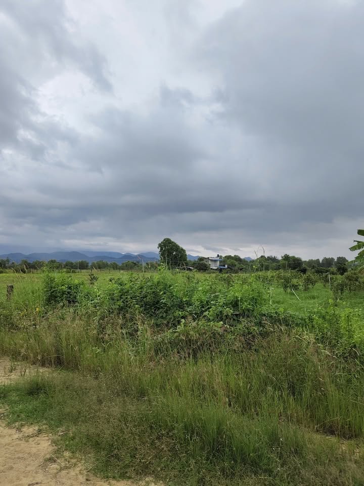 Đất vườn 15.000m² tại Hàm Chính, Bình Thuận giá 338 triệu - Tiềm năng đầu tư lớn!