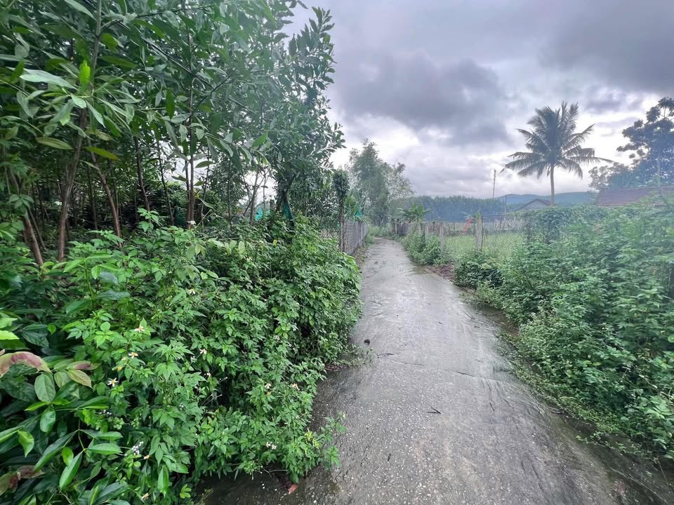 Đất nền Quế Châu 1123m² giá 1.25 tỷ - Cơ hội đầu tư sinh lời!