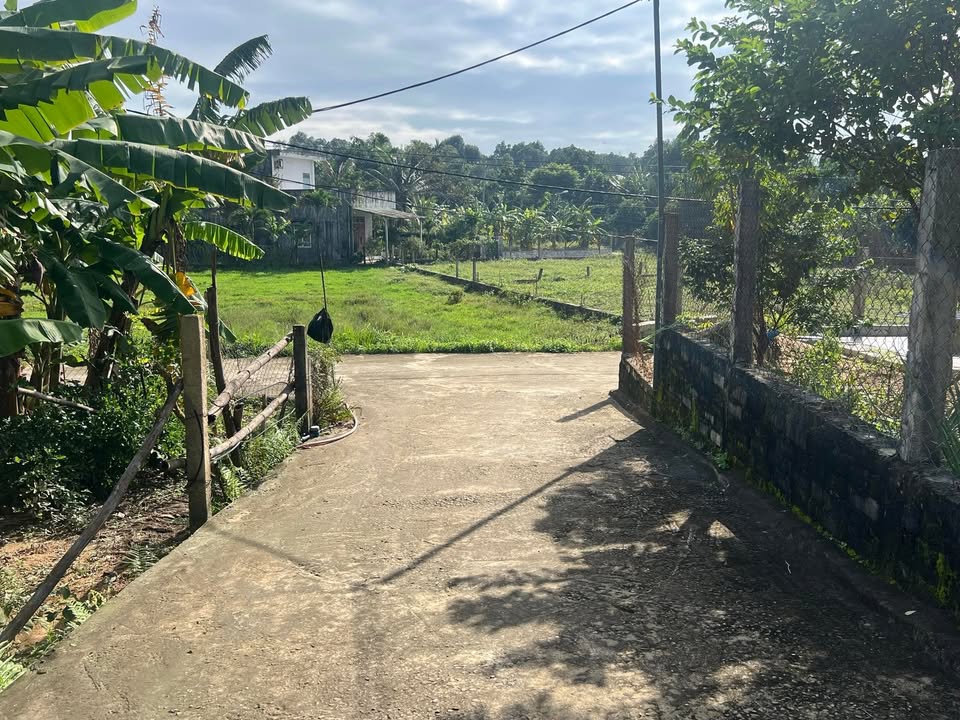 Đất nền Bà Nà, Hòa Vang 220m² chỉ 1 tỷ - Cơ hội đầu tư tuyệt vời!