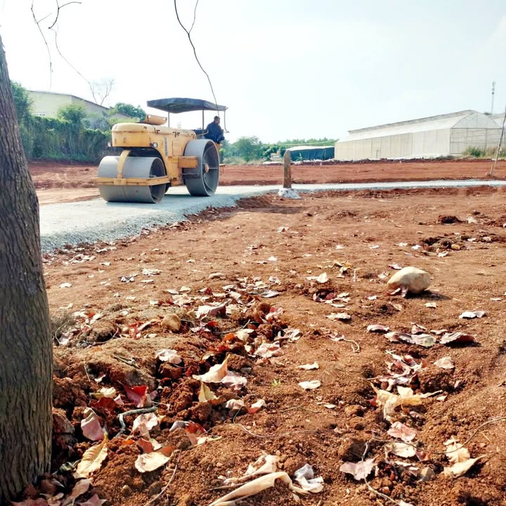 Đất nền Long Tân 1000m² giá 550 triệu - Cơ hội đầu tư tiềm năng!