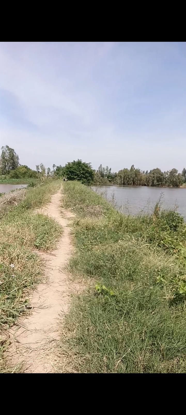 Đất nông nghiệp Phú Cường, Tam Nông 250.000m² giá 3 tỷ - Đầu tư sinh lời ngay!