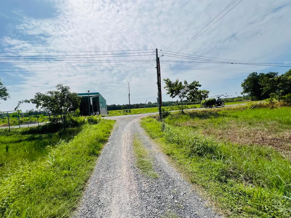 Đất trồng cây Lộc Hưng Trảng Bàng 313m² giá 570 triệu - Cơ hội đầu tư hấp dẫn!