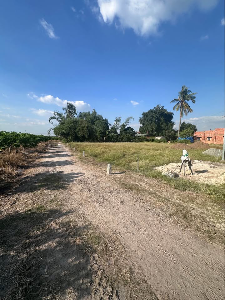 Đất Suối Đá Dương Minh Châu 135m² Giá Chỉ 200 Triệu - Cơ Hội Đầu Tư Hiếm Có!