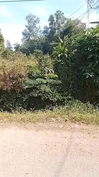 Đất mặt tiền Hòa Bình 3, An Hòa, Trảng Bàng 640m² giá 2.6 tỷ - Đầu tư sinh lời ngay!