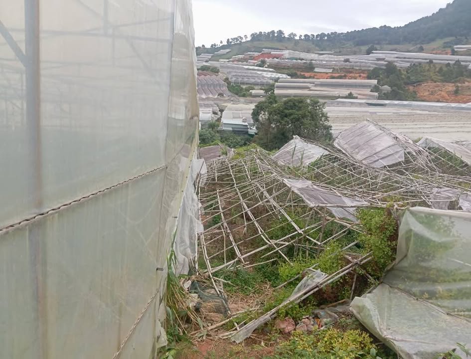 Đất nền Lạc Dương 2300m² giá 2.4 tỷ - Đầu tư sinh lời lý tưởng!