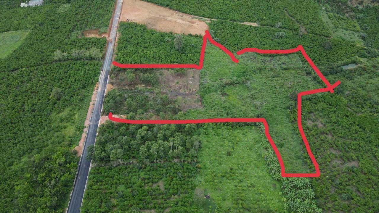 Đất mặt tiền Lộc Nga 1,6ha giá 20 tỷ - Đầu tư sinh lời ngay!