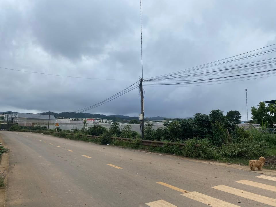 Đất mặt tiền đường Văn Tiến Dũng, Đà Lạt 1313m² giá chỉ 420 triệu - Cơ hội đầu tư tuyệt vời!