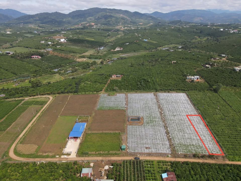 Đất nền Phúc Thọ Lâm Hà 731m² chỉ 669 triệu - Sổ đỏ chính chủ!