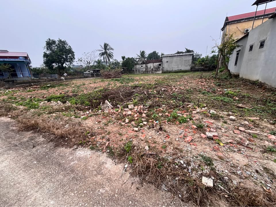 Đất nền xã Xuân Lộc, huyện Hậu Lộc 184m² giá 430 triệu - Cơ hội đầu tư sinh lời!