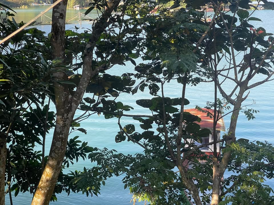 Đất Farm 3700m² tại Đà Bắc - Bám Hồ, Cơ Hội Đầu Tư Hiếm Có!