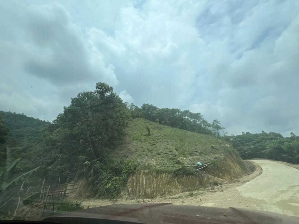 Đất nông nghiệp 18ha tại Tân Minh, Đà Bắc - Đường ô tô vào tận nơi!