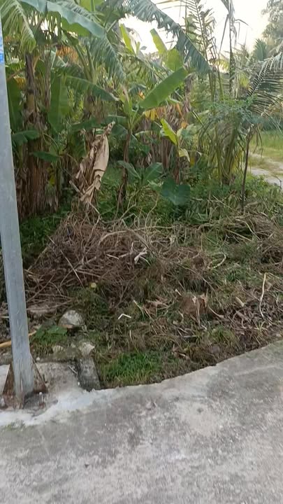 Đất nền Quảng Văn 192m² giá chỉ 500 triệu - Sổ đỏ chính chủ, xây dựng tự do!