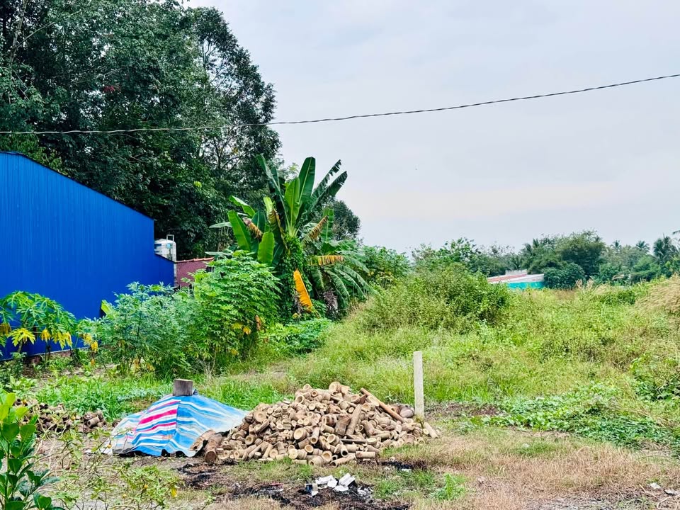 Đất hẻm 43 Ngô Quyền, Tây Ninh 138m² giá 420 triệu - Vị trí đẹp, đầu tư sinh lời!