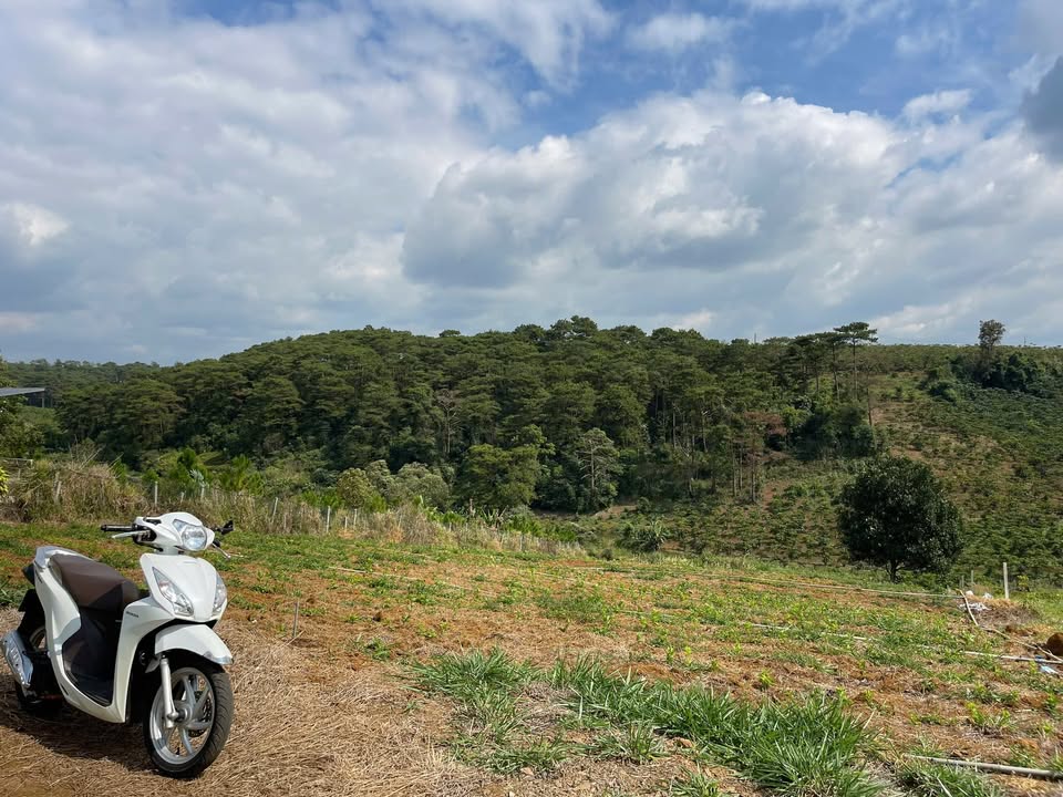 Đất nền Khúc Thừa Dụ, Bảo Lộc 3886m² giá 5.5 tỷ - Vị trí đắc địa, view rừng thông!