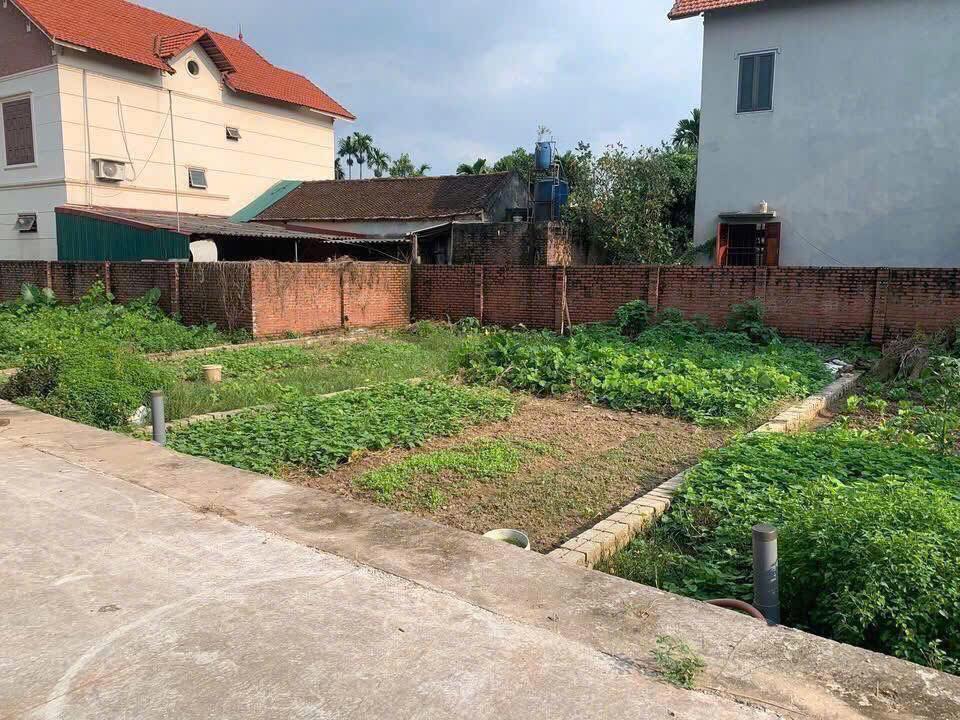 Đất Đa Tốn, Gia Lâm 46m² giá 3 tỷ - Ô tô vào tận nơi, gần Vin Ocean Park!