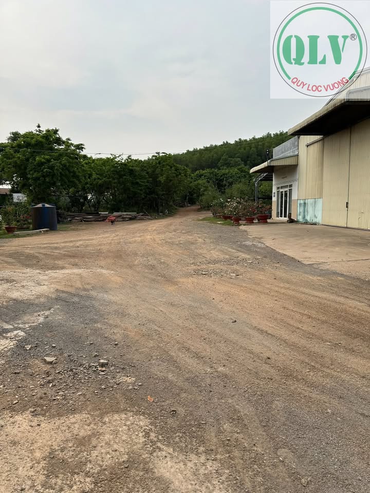 Cho thuê kho xưởng tại xã Vĩnh Tân, huyện Vĩnh Cửu, Đồng Nai - Diện tích 70.000m², giá chỉ 30.000 VNĐ/m²/tháng