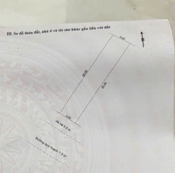 Bán đất đường Thái Văn Lung, Hòa Xuân, Cẩm Lệ 125m² giá 8 tỷ - Đầu tư lý tưởng!