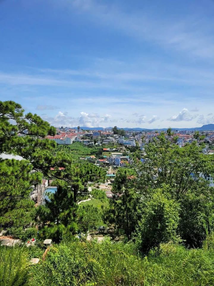 Đất nền Đà Lạt 600m² giá 42 tỷ - Mặt tiền đường Đống Đa, view tuyệt đẹp!