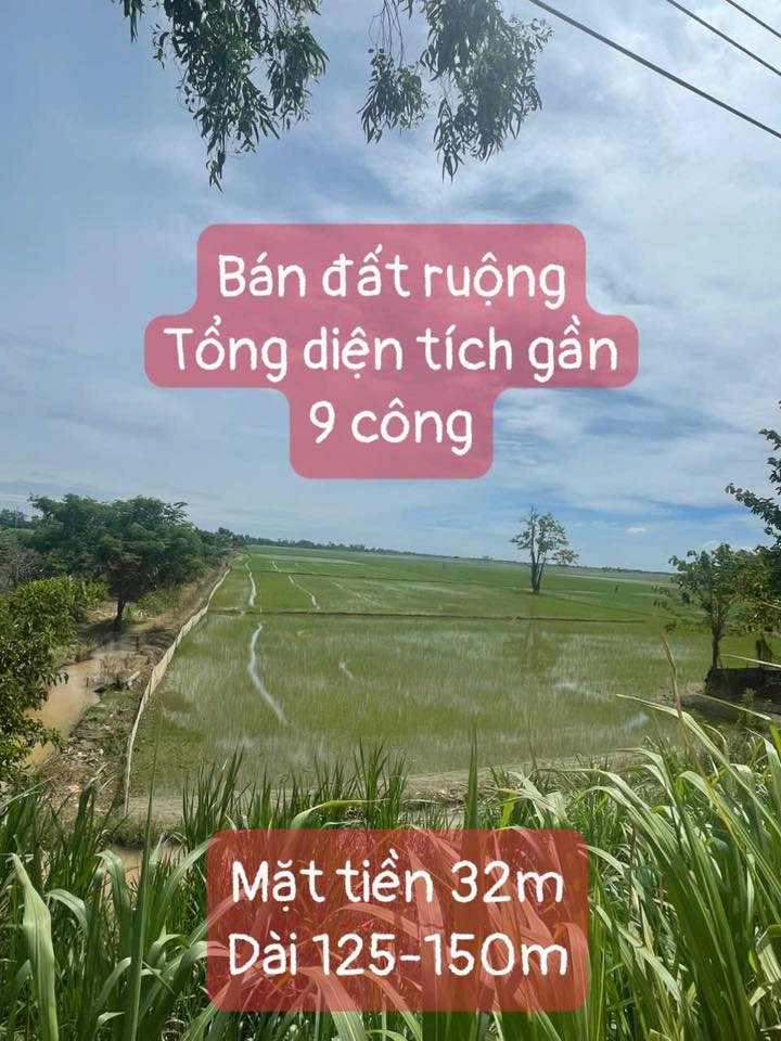 Bán đất nông nghiệp 9000m² đường DT951, Phú Hiệp, An Giang - Tiềm năng phát triển lớn!
