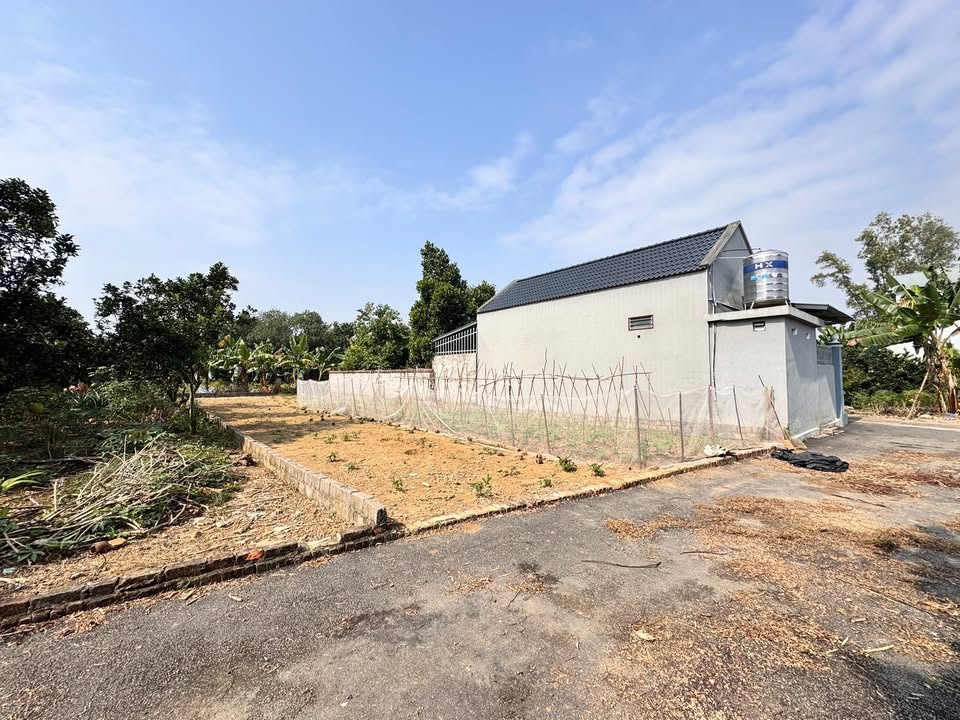 Đất Tân Xã Thạch Thất 130m² giá chỉ 3x triệu - Đầu tư sinh lời ngay!