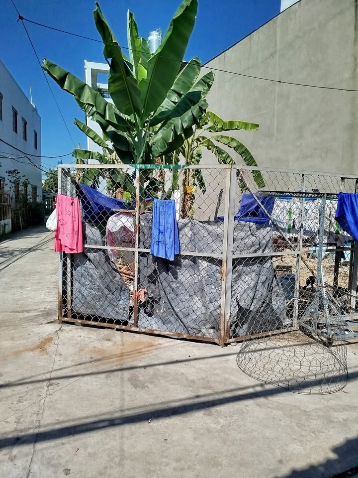 Đất nền góc 2 mặt tiền hẻm 1677 Tỉnh Lộ 10, Bình Tân - Đầu tư sinh lời!