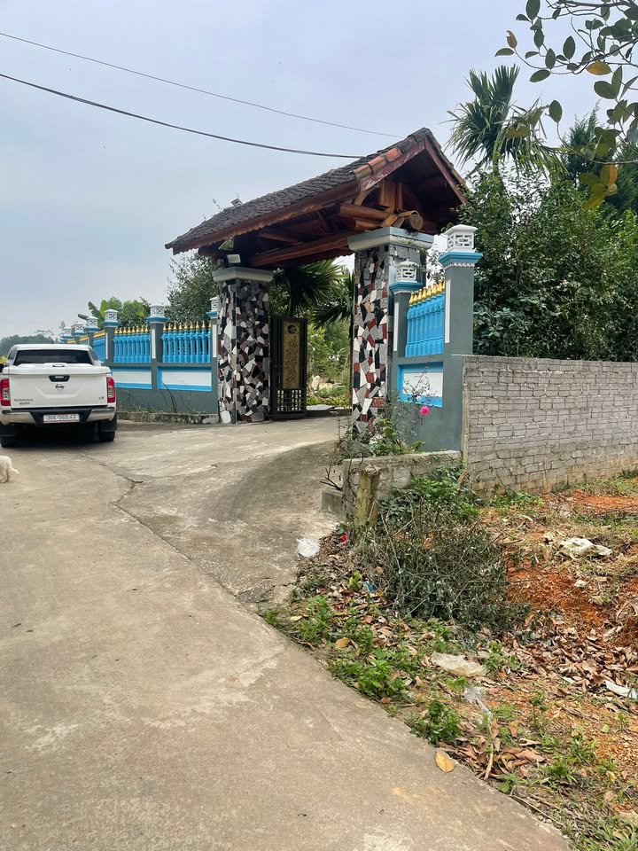 Đất Thọ Bình Triệu Sơn 500m² giá 500 triệu - Sổ đỏ chính chủ, đầu tư sinh lời!