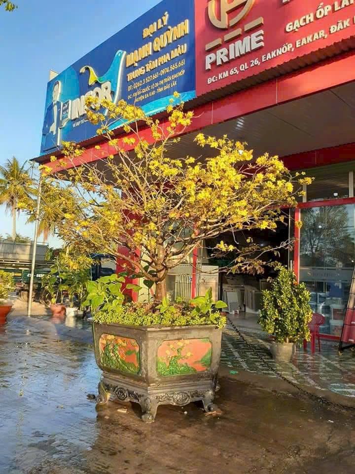 Đất nền 680m² tại thị trấn Ea Knốp, Đắk Lắk - Giá 6.982 tỷ, vị trí tiềm năng đầu tư!