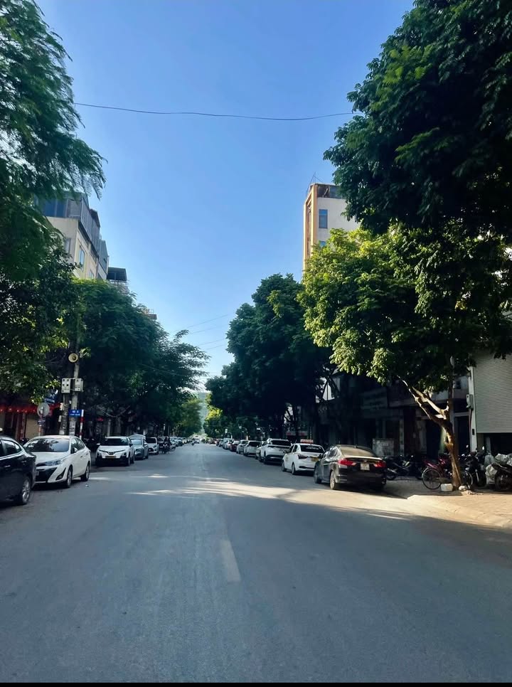 Đất đẹp phố Trạm Long Biên 66m² giá 14 tỷ - Vị trí đắc địa, xây nhà 7 tầng thang máy