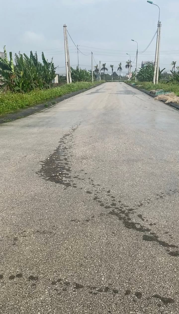 Đất nền Quảng Hải, Quảng Xương 100m² giá 700 triệu - Vị trí vàng gần biển Sầm Sơn!