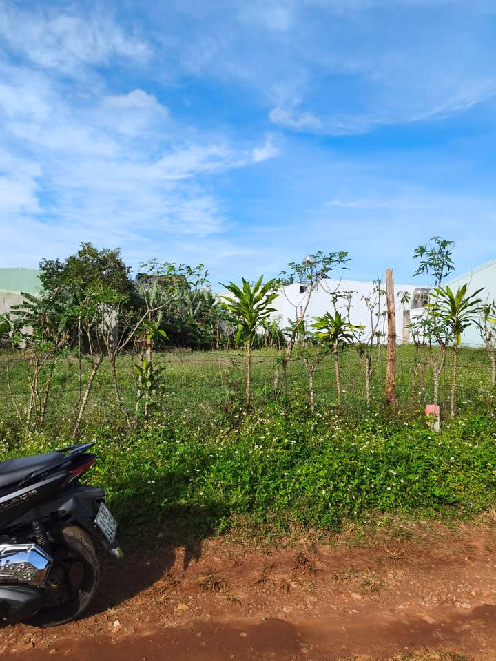 Đất hẻm 166 Lạc Long Quân, phường An Phú 120m² giá 800 triệu - Pháp lý rõ ràng, sẵn sàng công chứng!