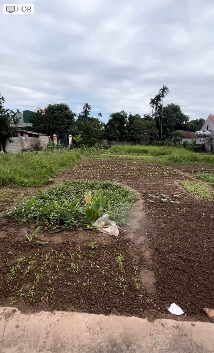 Đất nền Trác Văn Duy Tiên 85m² giá thỏa thuận - Vị trí đắc địa, ô tô đỗ cửa!