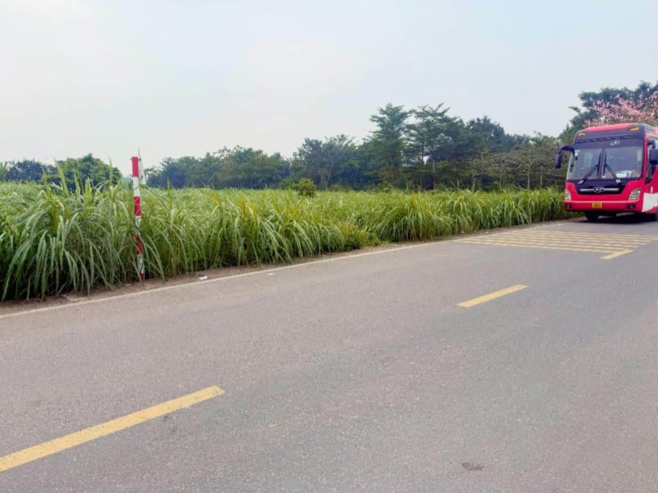 Đất Vân Hòa Ba Vì 5000m² giá 15 tỷ - Lô góc đẹp, view núi!