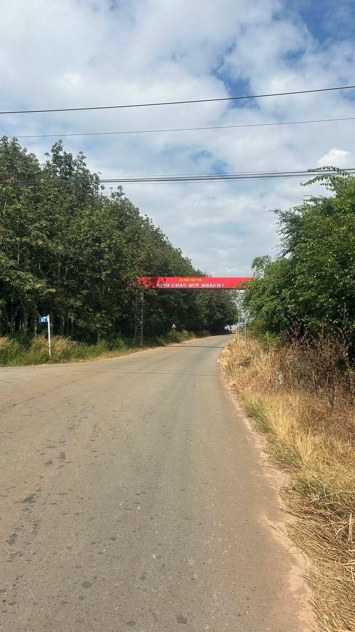 Đất thổ cư 200m² xã Trừ Văn Thố, Bàu Bàng - Vị trí gần KCN, giá thương lượng!