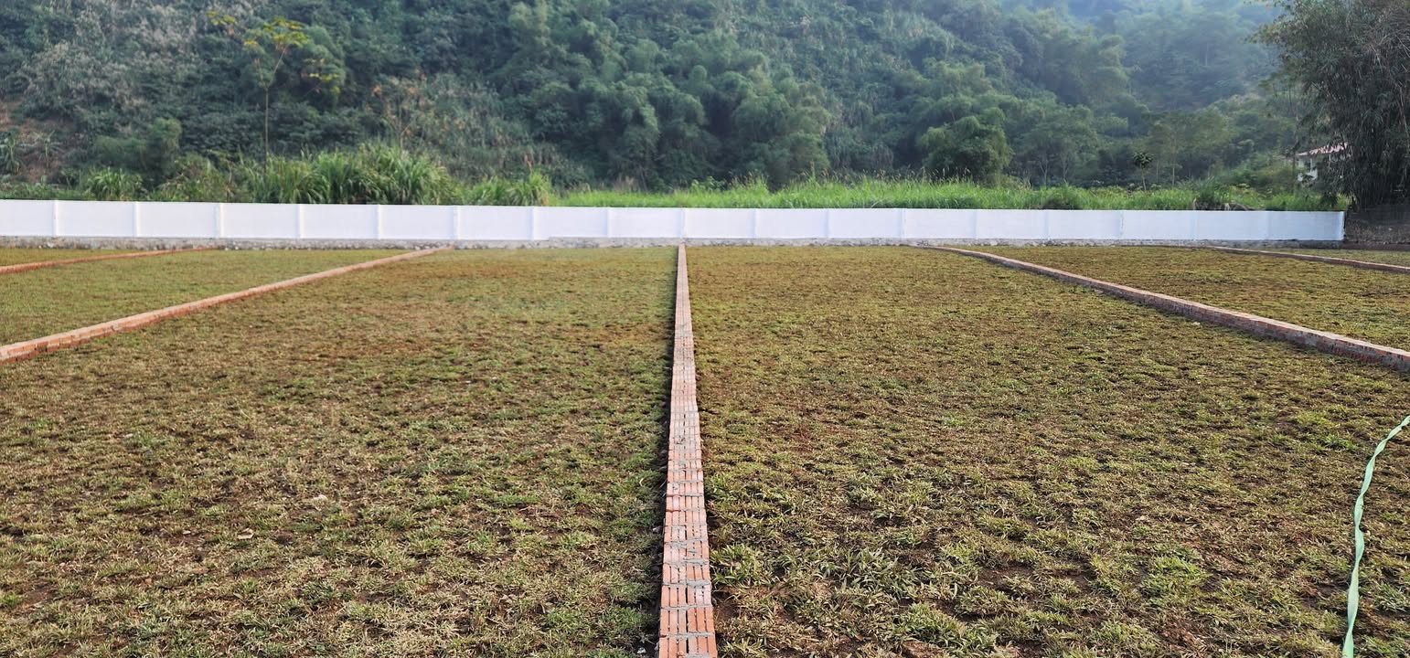 Đất nền Cư Yên, Lương Sơn, Hòa Bình 400m² giá 5 triệu/m² - Cơ hội đầu tư hấp dẫn!