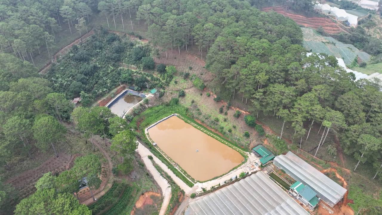 Đất nền 1000m² phường Xuân Trường, Đà Lạt giá 1.2 tỷ - Mặt tiền 35m, ô tô vào tận nơi!